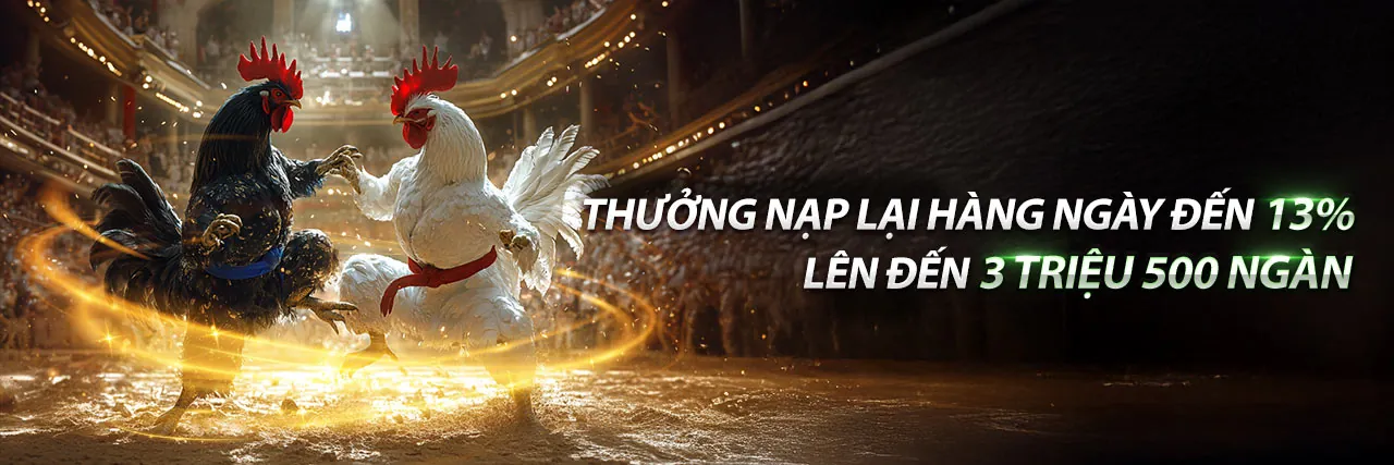 Đá Gà Trận 54 kịch tính tại Win555